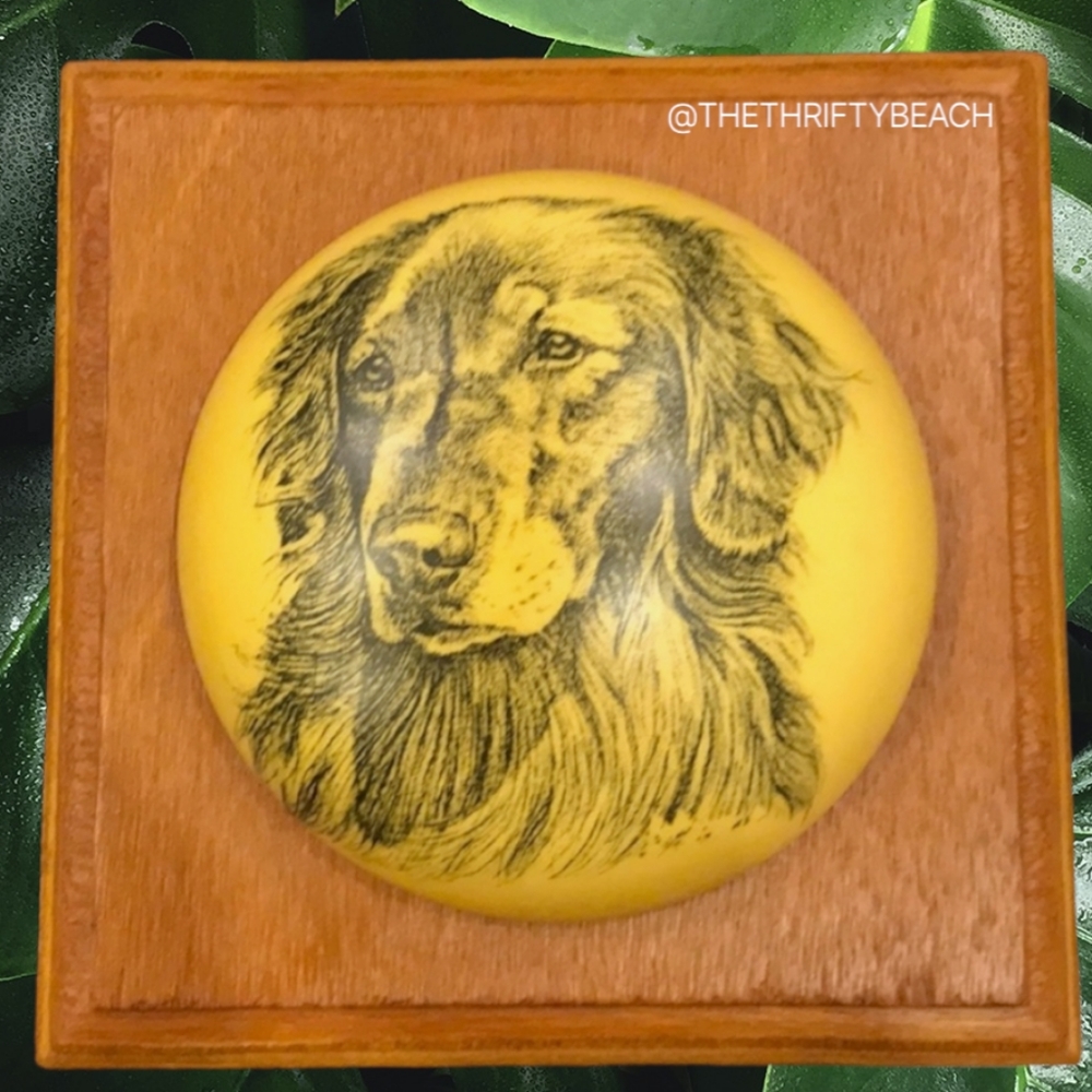 Vintage Golden Retriever Pet Portrait Plaque | 3D Dome Kitsch Wall Art